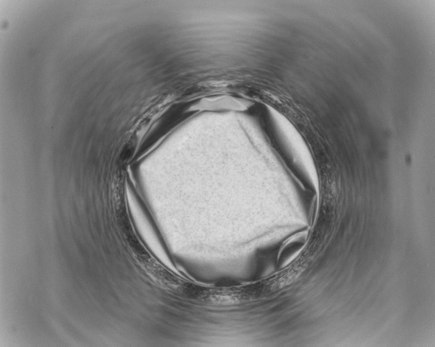 X0000069790658200606161759