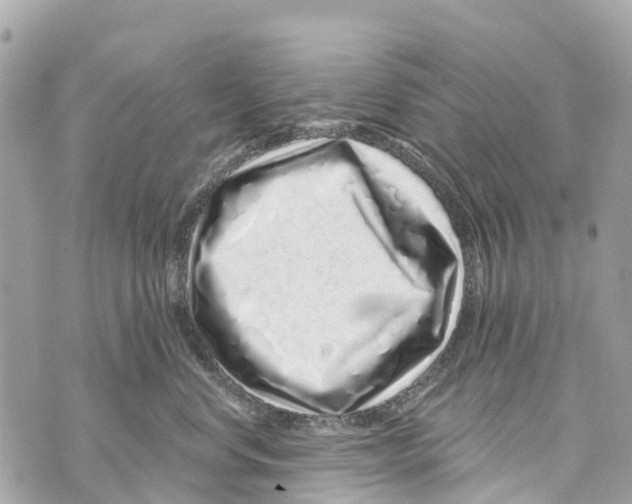 X0000069790668200606161759