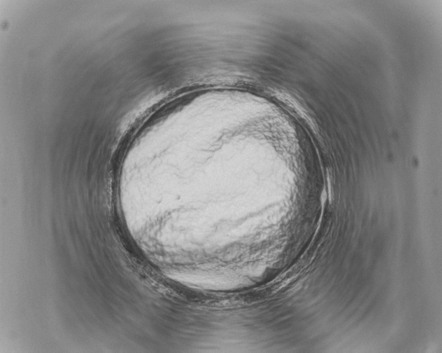 X0000069790675200606161759