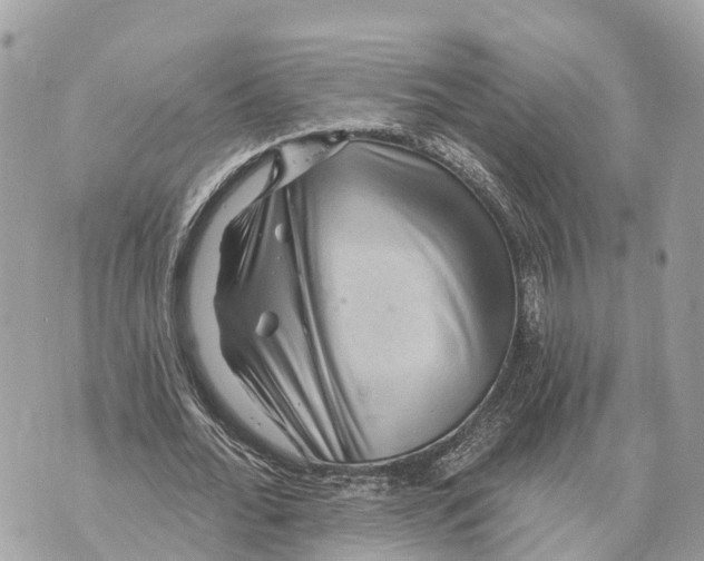 X0000069790676200606161758