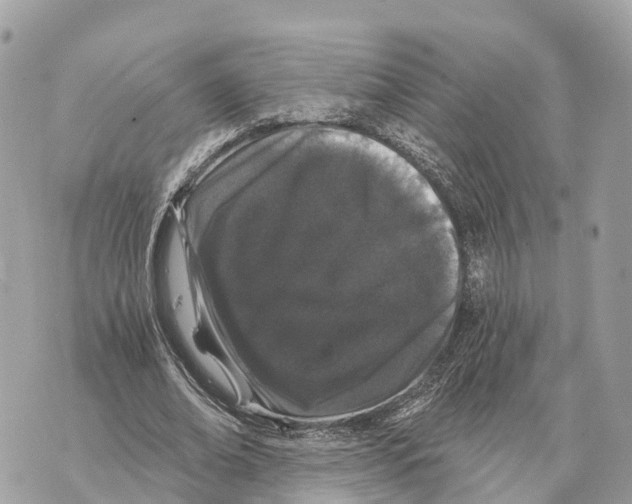 X0000069790678200606161758