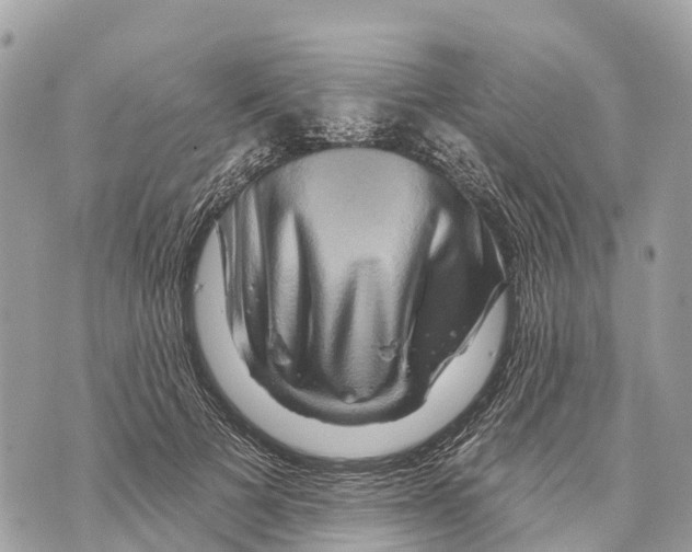 X0000069790697200606161758