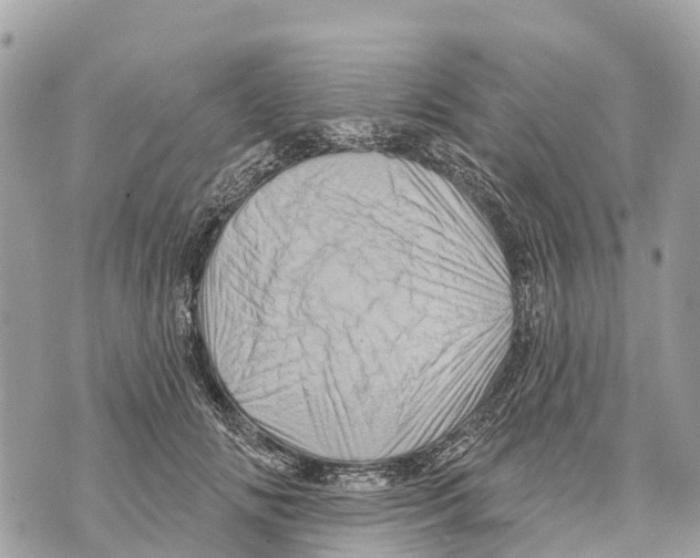 X0000069790702200606161758