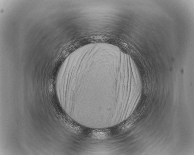 X0000069790706200606161758