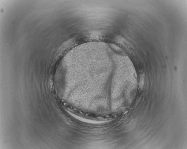 X0000069790715200606161758