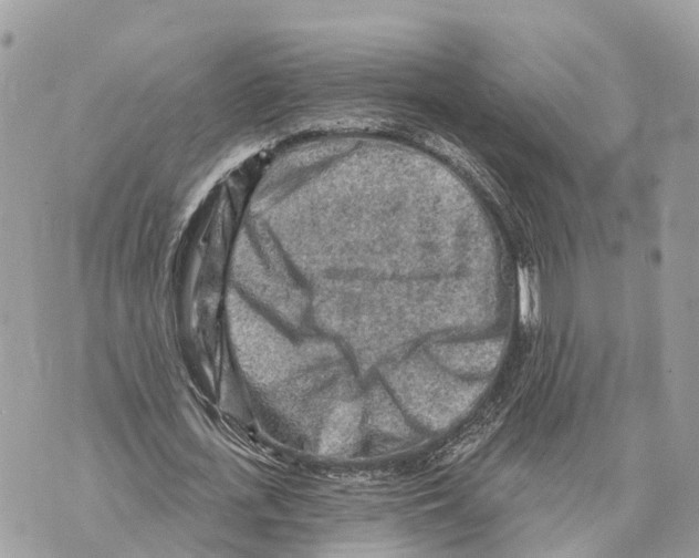 X0000069790723200606161757