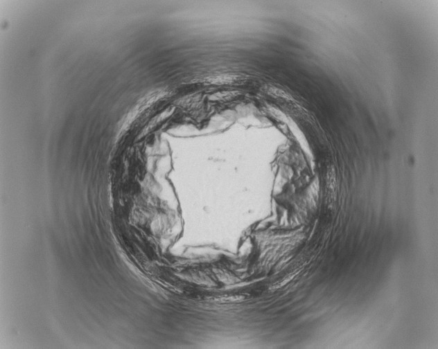X0000069790734200606161757