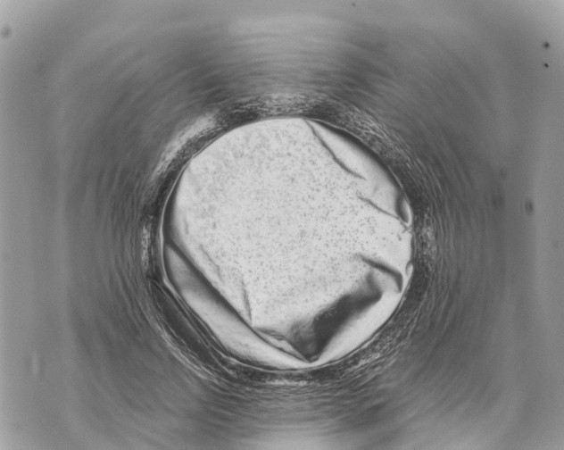 X0000069790742200606161757