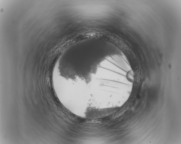 X0000069790754200606161758