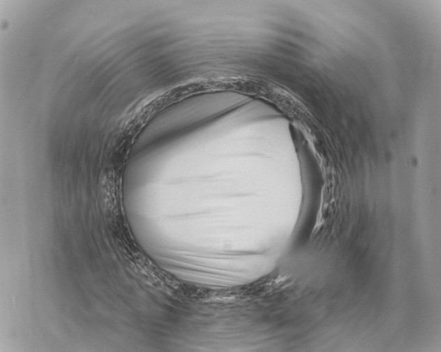 X0000069790773200606161757