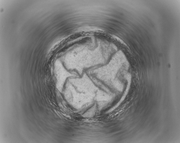 X0000069790775200606161757