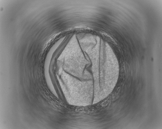 X0000069790776200606161757