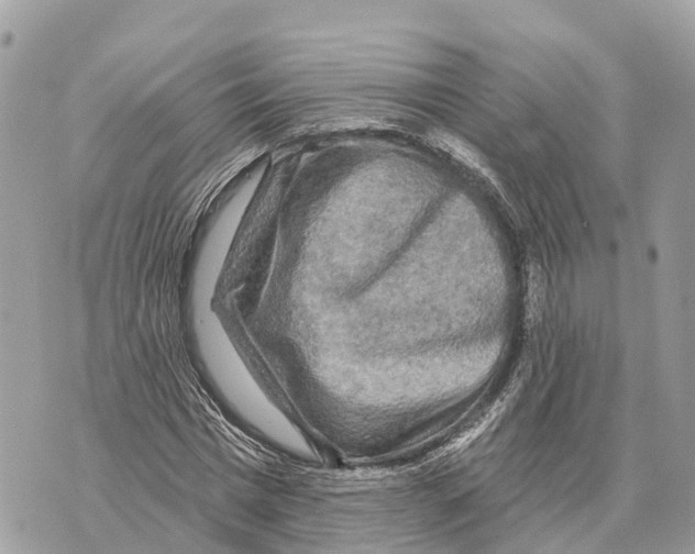 X0000069790777200606161757