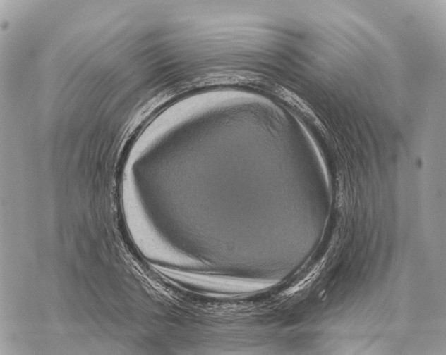 X0000069790786200606161757