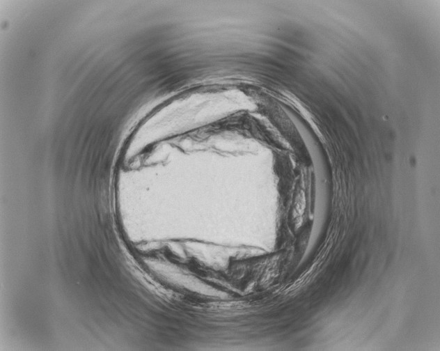X0000069790795200606161757