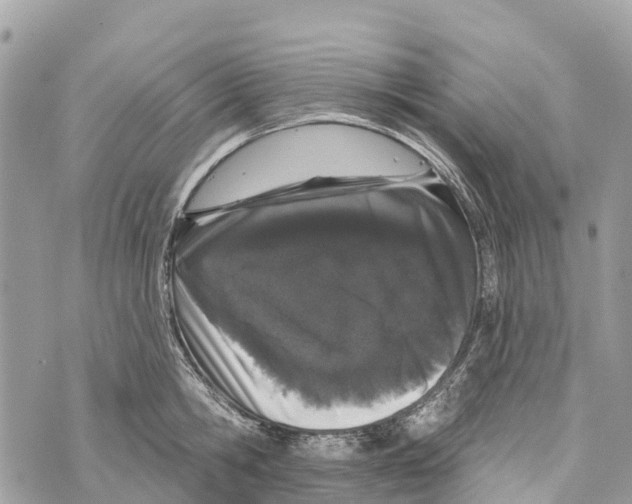 X0000069790806200606161756