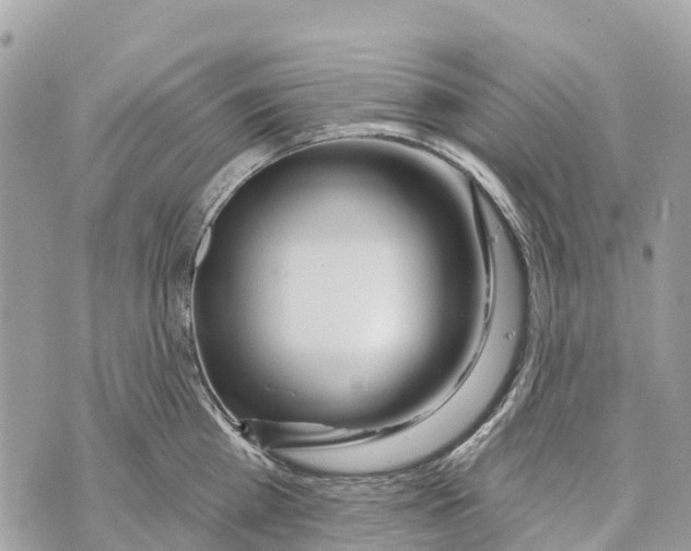 X0000069790809200606161756