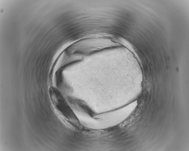 X0000069790811200606161756