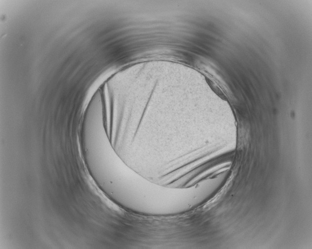 X0000069790812200606161756