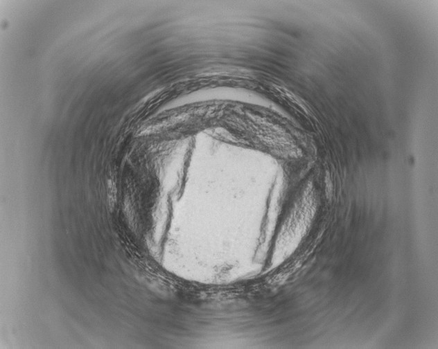X0000069790821200606161756