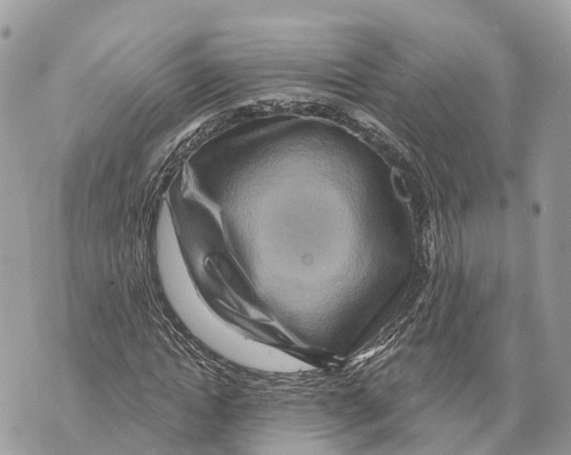 X0000069790822200606161756