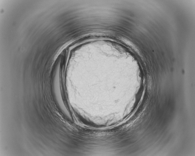 X0000069790829200606161756