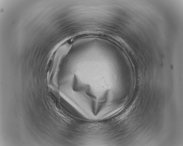 X0000069790830200606161756