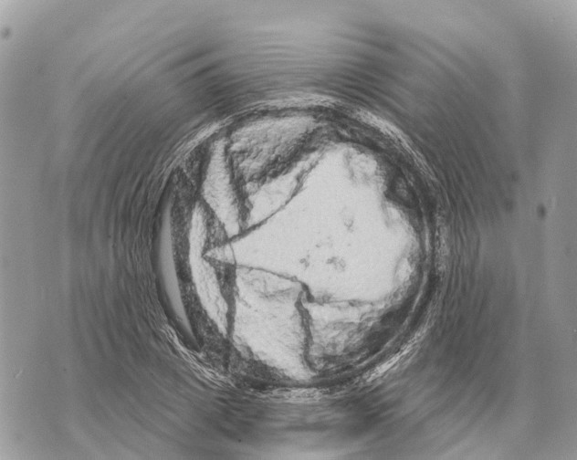 X0000069790833200606161756
