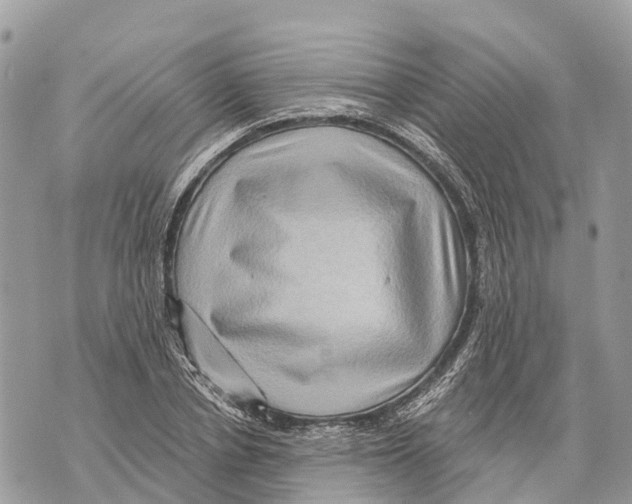 X0000069790834200606161756