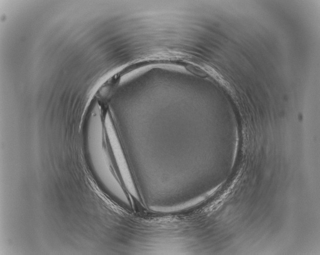 X0000069790838200606161756
