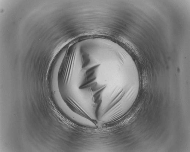 X0000069790876200606161755