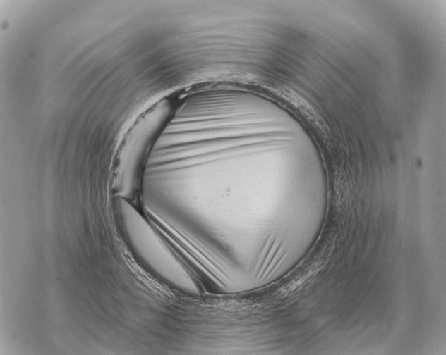 X0000069790880200606161755