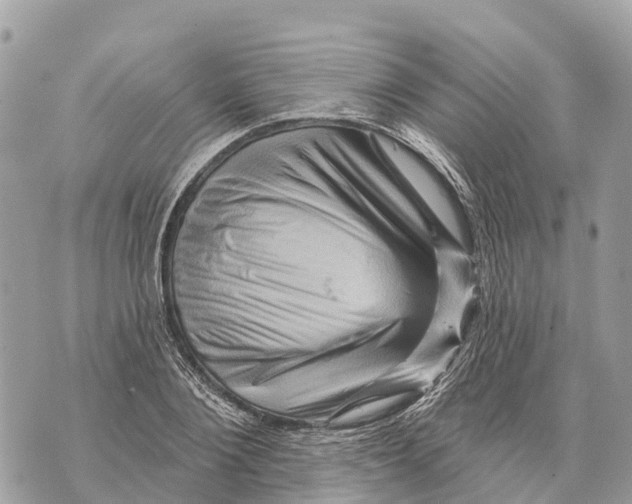 X0000069790884200606161755