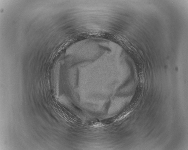 X0000069790916200606161754