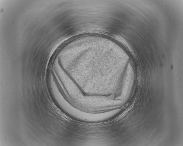 X0000069790924200606161754