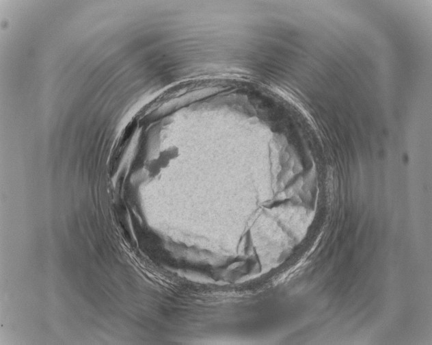 X0000069790925200606161754