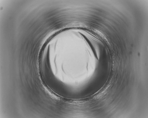 X0000069790942200606161754