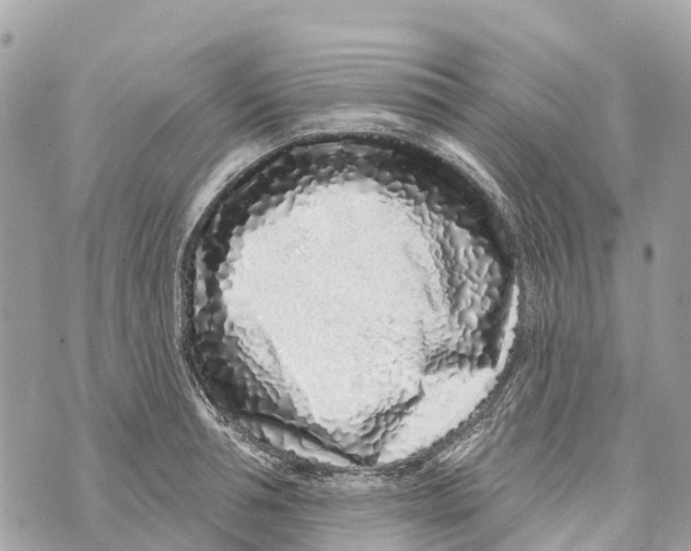 X0000069790994200606161753