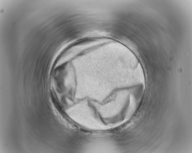 X0000069791008200606161753