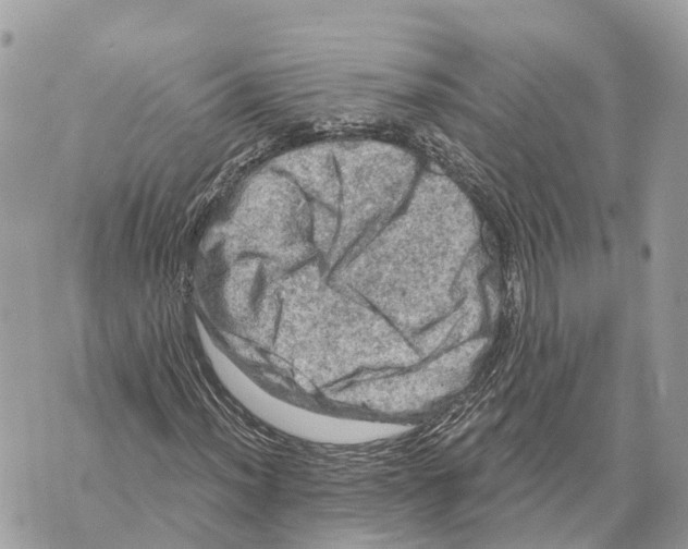 X0000069791012200606161752