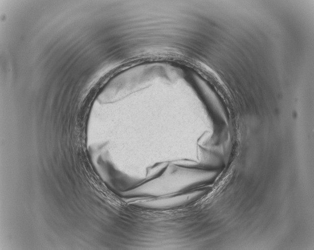 X0000069791019200606161752
