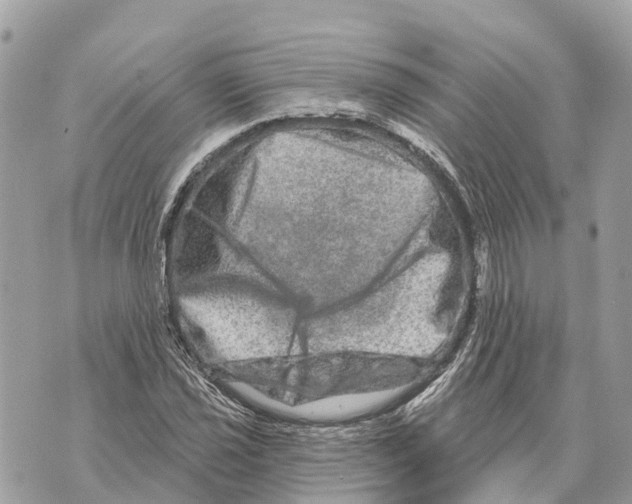X0000069791021200606161752