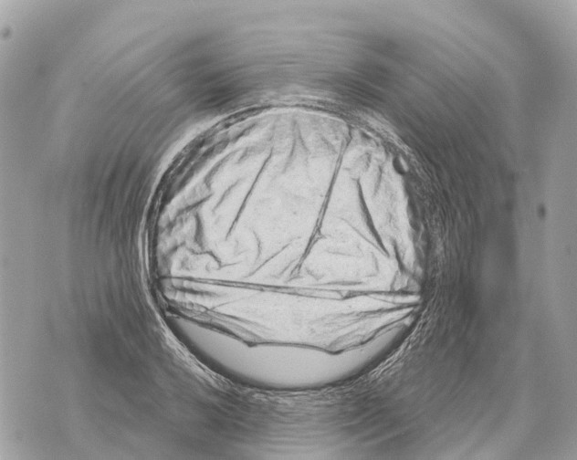 X0000069791032200606161753