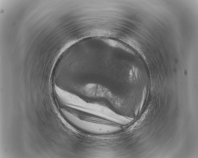 X0000069791037200606161753