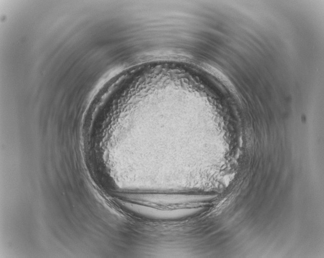 X0000069791043200606161753