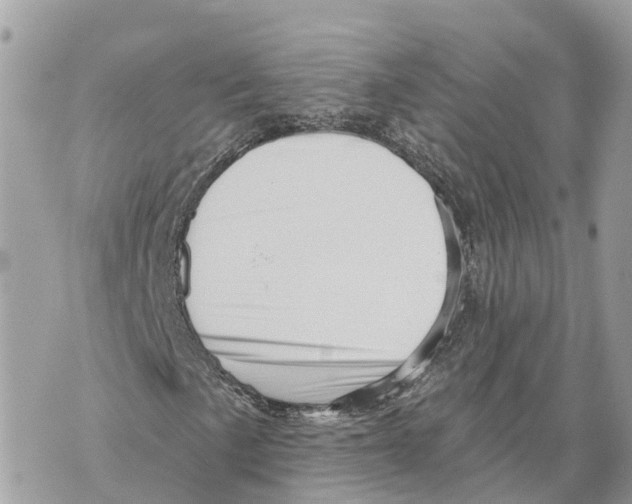 X0000069791057200606161752