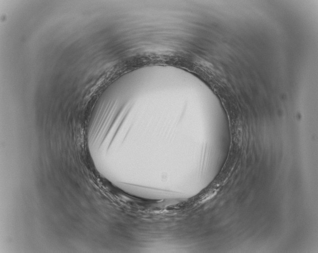 X0000069791061200606161752