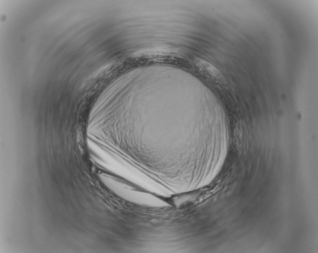 X0000069791062200606161752