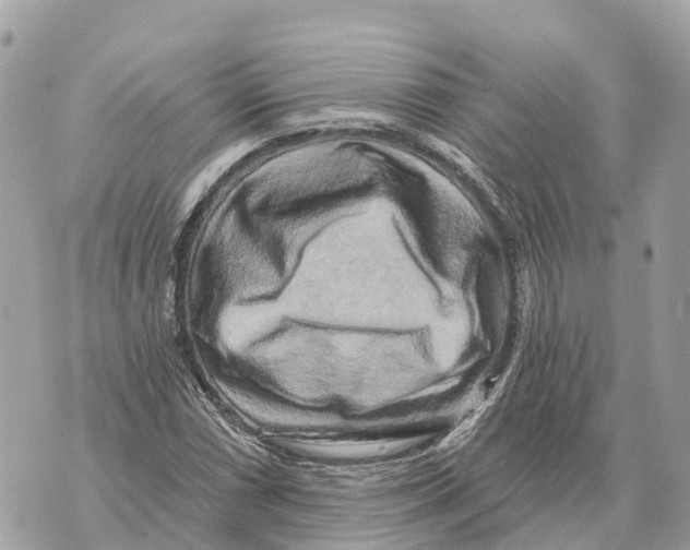 X0000069791066200606161752