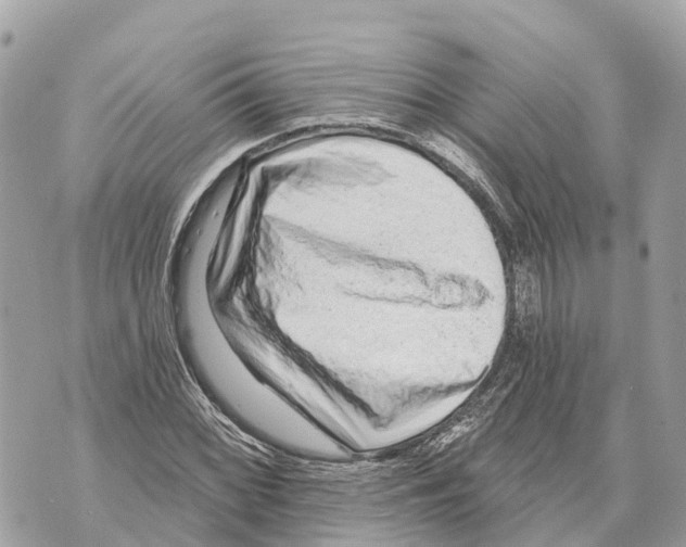 X0000069791068200606161752